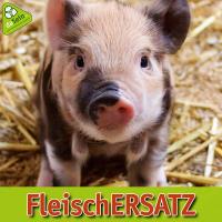 fleischersatz_600x600