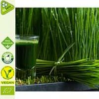 vitalundfitmit100_gerstengrassaft_200g-3