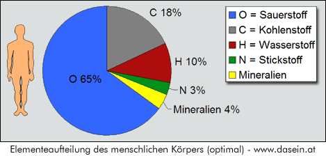 Verhältnis der Elementen im menschlichen Körper