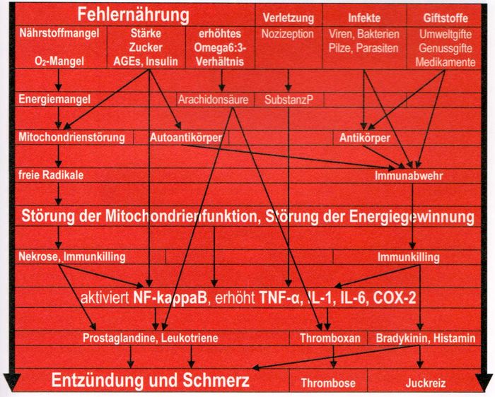 entzuendungen klaus wuehrer