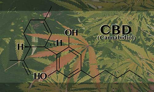 cannabidiol formel blaetter