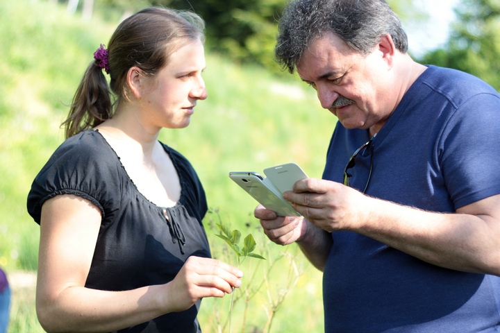 wildkraeuterkurs00013