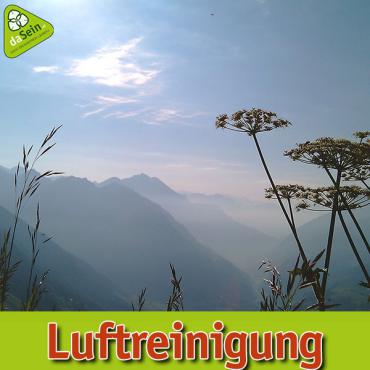 Luftreinigung