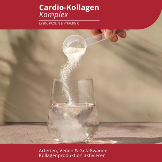Cardio-Kollagen Komplex Pulver 300g
