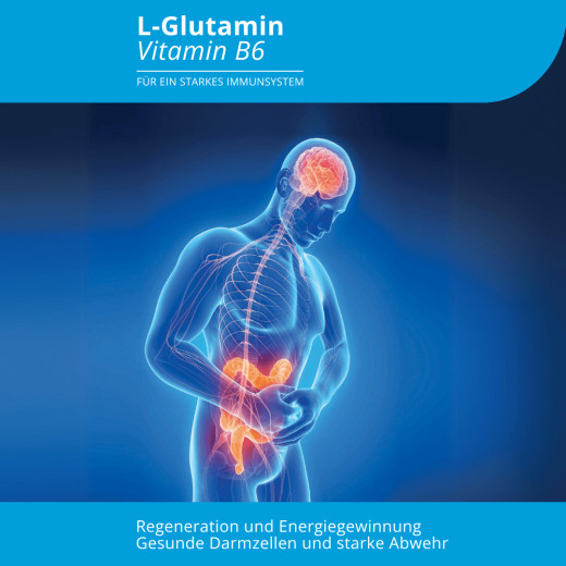 L-Glutamin Vitamin B6 300g