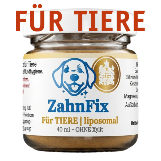ZahnFIX PET/TIER Revital Liposomal für TIERE 40ml
