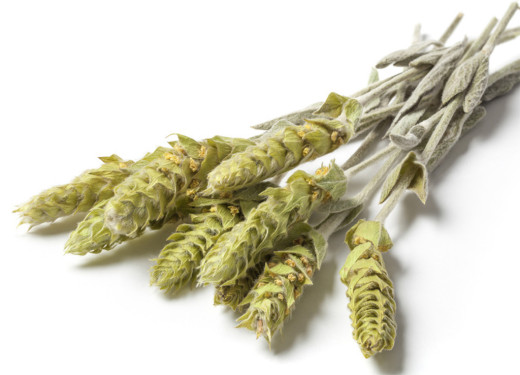 Griechischer Bergtee lose 30g Bio