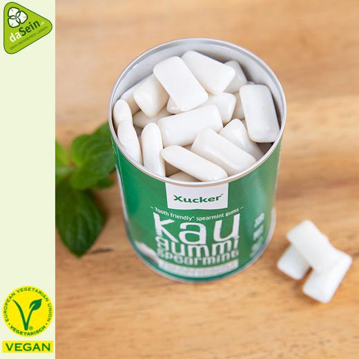 Kaugummi Xylit 100g Spearmint