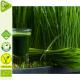 Bio Gerstengrassaft Pulver 200g