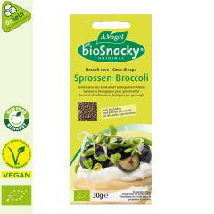 Sprossen-Broccoli Keimsaaten 30g Bio