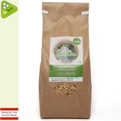 Buchweizen 1kg sehr gut keimfähig