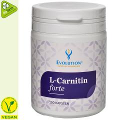 L-Carnitin Forte 80 Kapseln