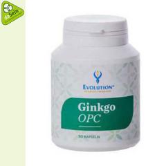 Ginkgo OPC 90 Kapseln