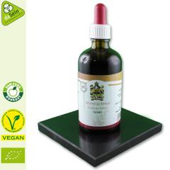 Artemisia Annua Ultraschall Extraktion 100ml mit Schungitwasser