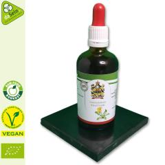 Löwenzahnkraut Extrakt 100ml