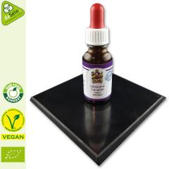 Safran Extrakt mit Curcumin - Güteklasse 1 - 15ml