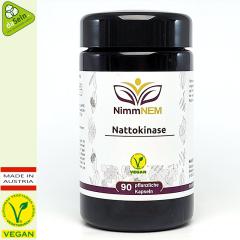 Nattokinase 20000FU/g 100mg 90 Kapseln