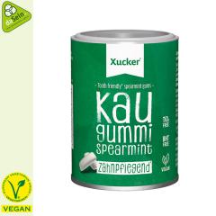 Kaugummi Xylit 100g Spearmint